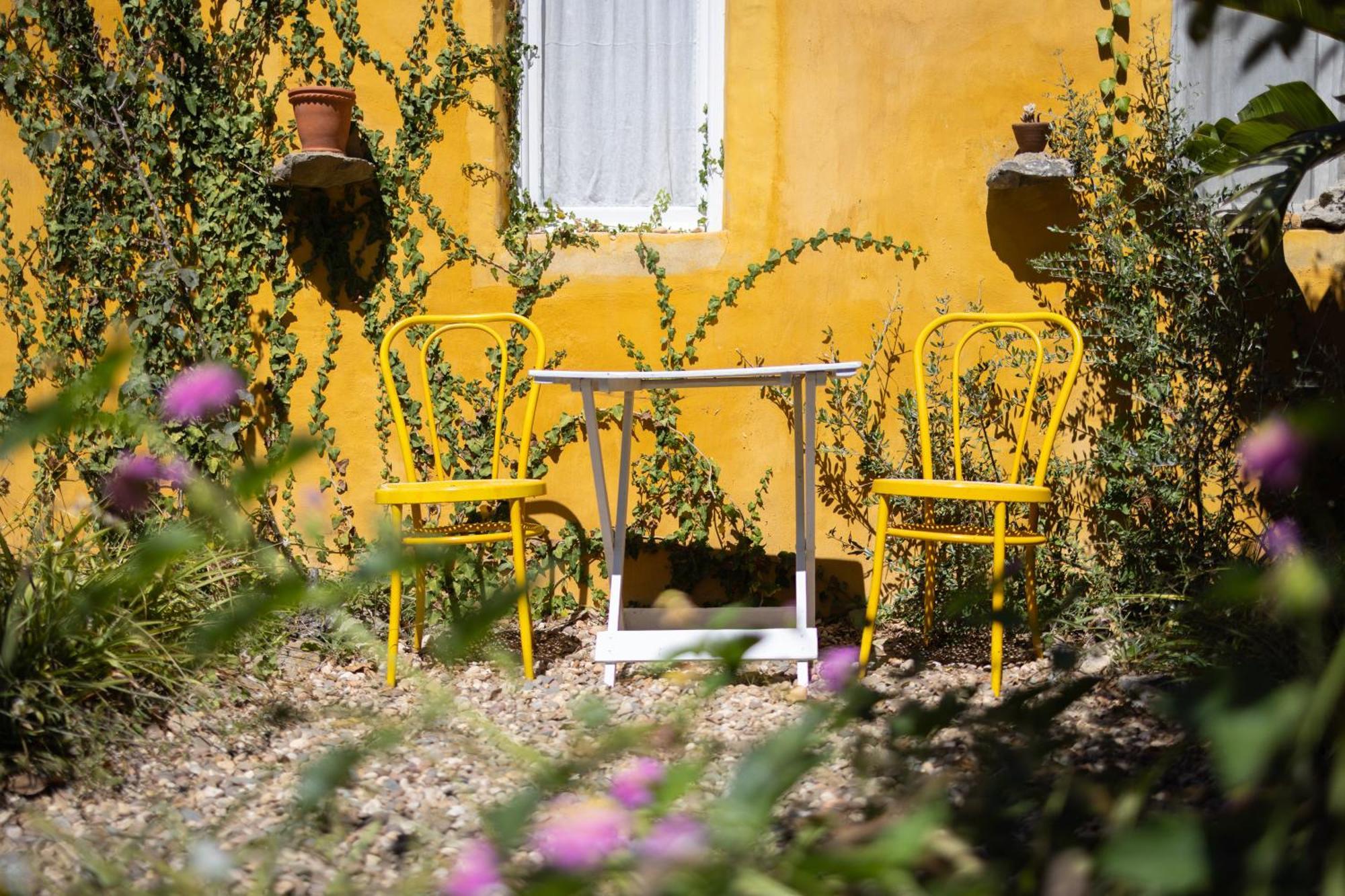 Bed and Breakfast Alma Do Paco Santo Isidoro Esterno foto