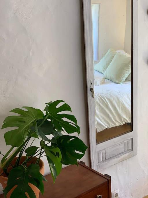 Bed and Breakfast Alma Do Paco Santo Isidoro Esterno foto
